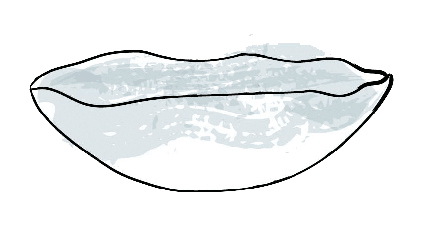 Ensaladera Grande Gota